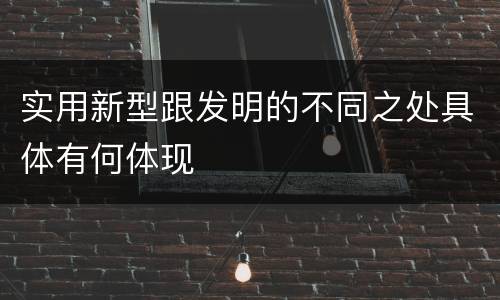 实用新型跟发明的不同之处具体有何体现