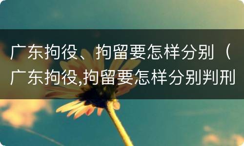 广东拘役、拘留要怎样分别（广东拘役,拘留要怎样分别判刑）