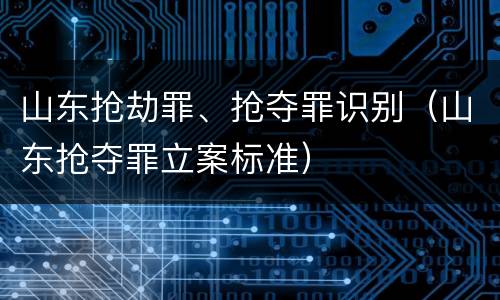 山东抢劫罪、抢夺罪识别（山东抢夺罪立案标准）
