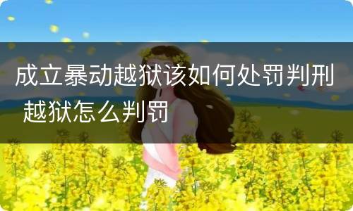 成立暴动越狱该如何处罚判刑 越狱怎么判罚
