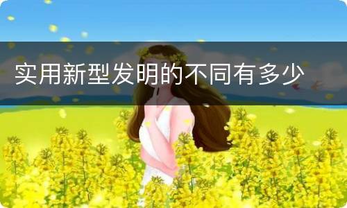 实用新型发明的不同有多少