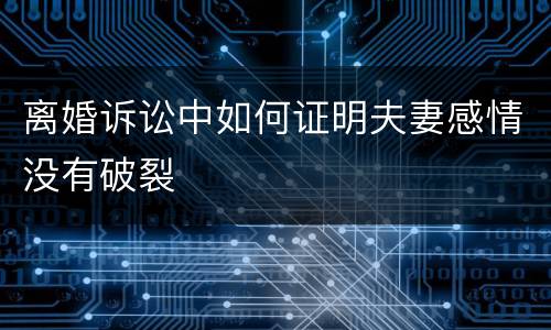 离婚诉讼中如何证明夫妻感情没有破裂