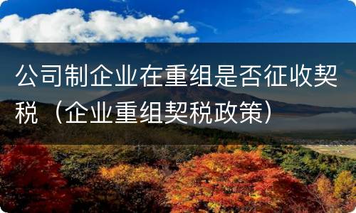公司制企业在重组是否征收契税（企业重组契税政策）