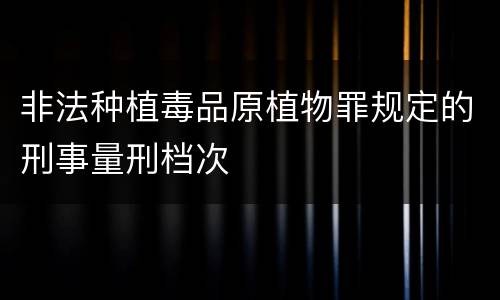 非法种植毒品原植物罪规定的刑事量刑档次