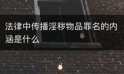 法律中传播淫秽物品罪名的内涵是什么