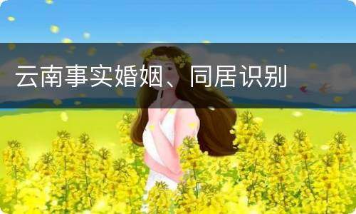 云南事实婚姻、同居识别