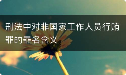 刑法中对非国家工作人员行贿罪的罪名含义