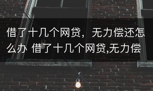 借了十几个网贷，无力偿还怎么办 借了十几个网贷,无力偿还怎么办理