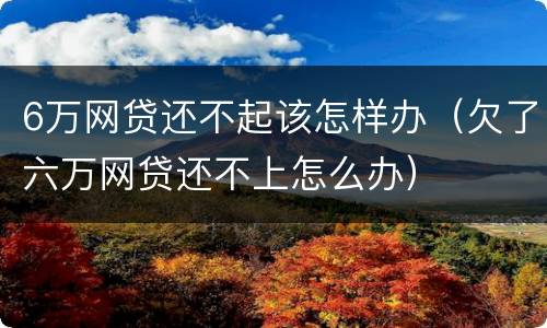 6万网贷还不起该怎样办（欠了六万网贷还不上怎么办）