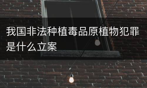 我国非法种植毒品原植物犯罪是什么立案