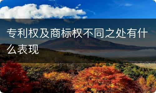 专利权及商标权不同之处有什么表现