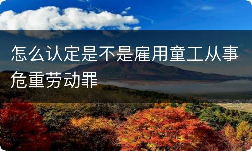 怎么认定是不是雇用童工从事危重劳动罪