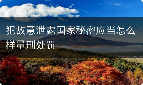 犯故意泄露国家秘密应当怎么样量刑处罚