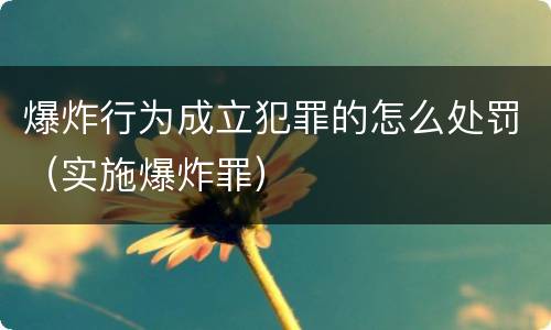 爆炸行为成立犯罪的怎么处罚（实施爆炸罪）