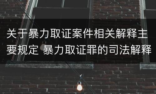 关于暴力取证案件相关解释主要规定 暴力取证罪的司法解释