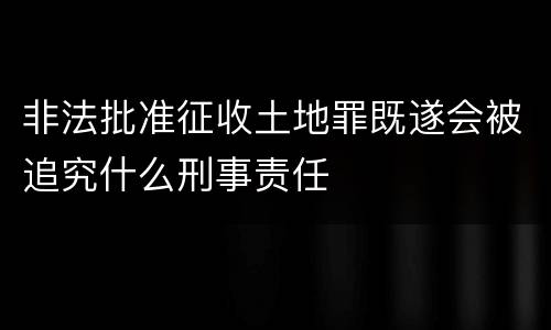 非法批准征收土地罪既遂会被追究什么刑事责任