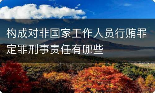 构成对非国家工作人员行贿罪定罪刑事责任有哪些