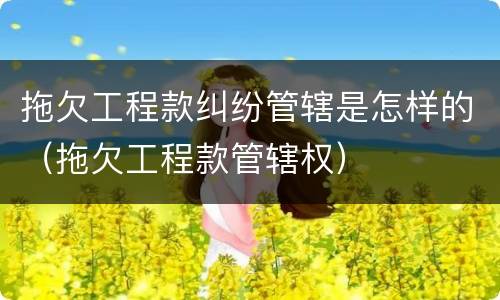 拖欠工程款纠纷管辖是怎样的（拖欠工程款管辖权）