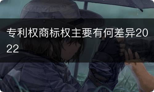 专利权商标权主要有何差异2022