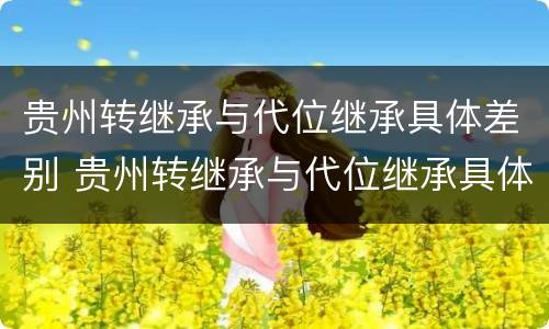 贵州转继承与代位继承具体差别 贵州转继承与代位继承具体差别在哪