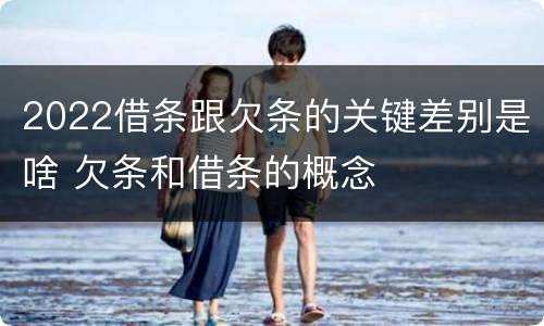2022借条跟欠条的关键差别是啥 欠条和借条的概念
