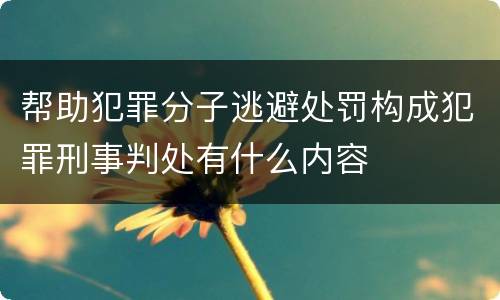 帮助犯罪分子逃避处罚构成犯罪刑事判处有什么内容