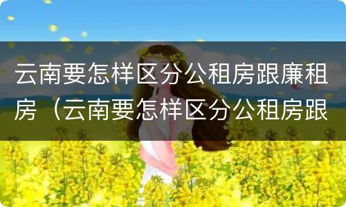 云南要怎样区分公租房跟廉租房（云南要怎样区分公租房跟廉租房呢）