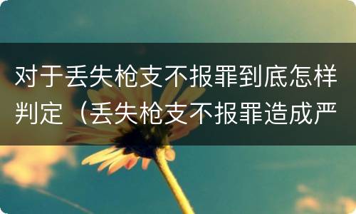 对于丢失枪支不报罪到底怎样判定（丢失枪支不报罪造成严重后果）