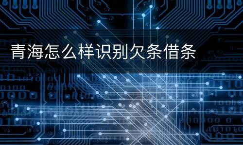 青海怎么样识别欠条借条