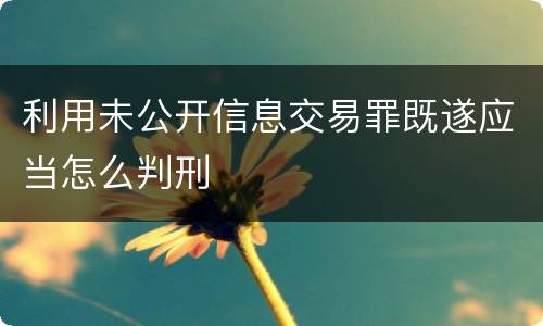 利用未公开信息交易罪既遂应当怎么判刑