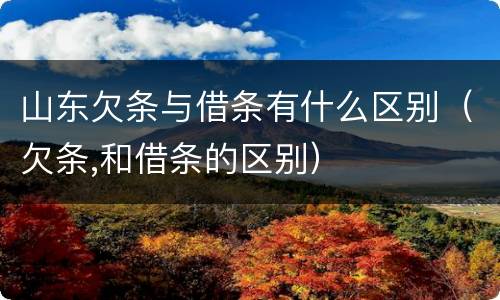 山东欠条与借条有什么区别（欠条,和借条的区别）