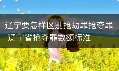 辽宁要怎样区别抢劫罪抢夺罪 辽宁省抢夺罪数额标准