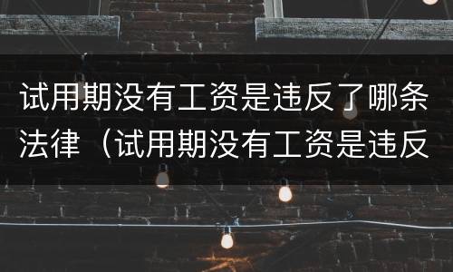 试用期没有工资是违反了哪条法律（试用期没有工资是违反了哪条法律规定）