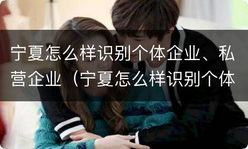 宁夏怎么样识别个体企业、私营企业（宁夏怎么样识别个体企业,私营企业名录）