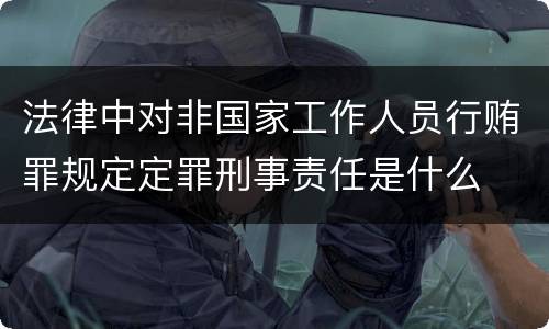 法律中对非国家工作人员行贿罪规定定罪刑事责任是什么