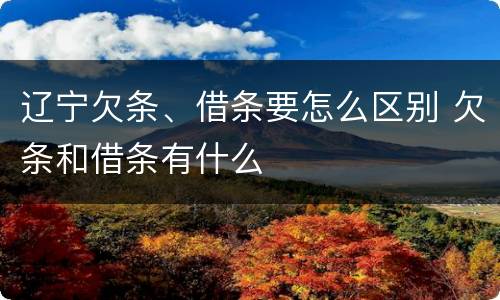 辽宁欠条、借条要怎么区别 欠条和借条有什么
