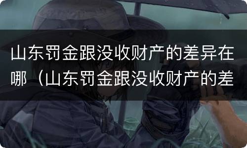 山东罚金跟没收财产的差异在哪（山东罚金跟没收财产的差异在哪查）