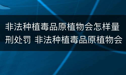 非法种植毒品原植物会怎样量刑处罚 非法种植毒品原植物会怎样量刑处罚