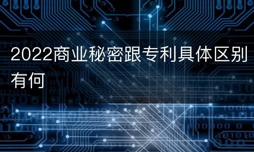 2022商业秘密跟专利具体区别有何
