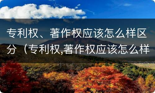 专利权、著作权应该怎么样区分（专利权,著作权应该怎么样区分呢）