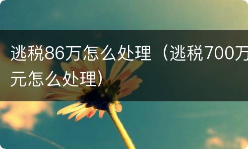 逃税86万怎么处理（逃税700万元怎么处理）