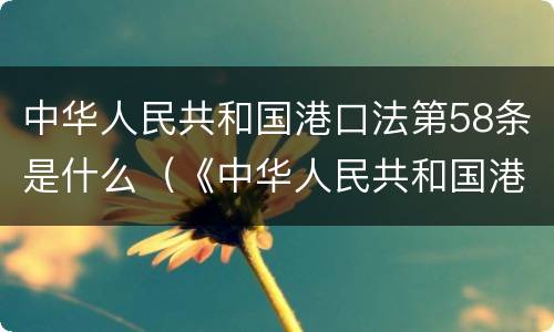 中华人民共和国港口法第58条是什么（《中华人民共和国港口法》）