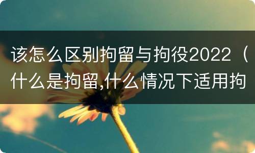 该怎么区别拘留与拘役2022（什么是拘留,什么情况下适用拘留）