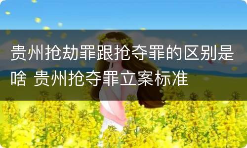 贵州抢劫罪跟抢夺罪的区别是啥 贵州抢夺罪立案标准