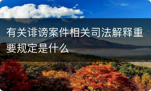有关诽谤案件相关司法解释重要规定是什么
