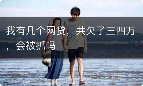我有几个网贷，共欠了三四万，会被抓吗