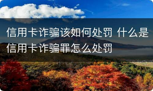 信用卡诈骗该如何处罚 什么是信用卡诈骗罪怎么处罚