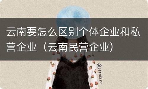 云南要怎么区别个体企业和私营企业（云南民营企业）