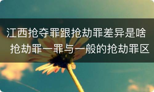 江西抢夺罪跟抢劫罪差异是啥 抢劫罪一罪与一般的抢劫罪区别