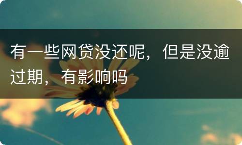 有一些网贷没还呢，但是没逾过期，有影响吗